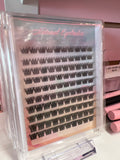 lash clusters