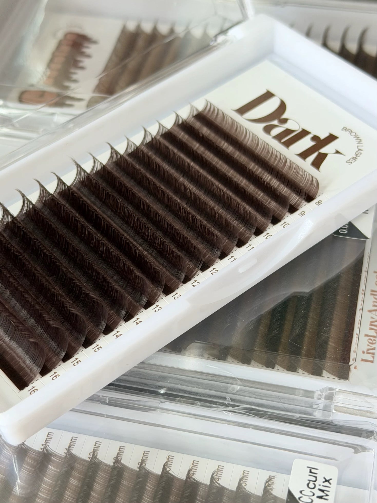 Dark Brown Lash Trays